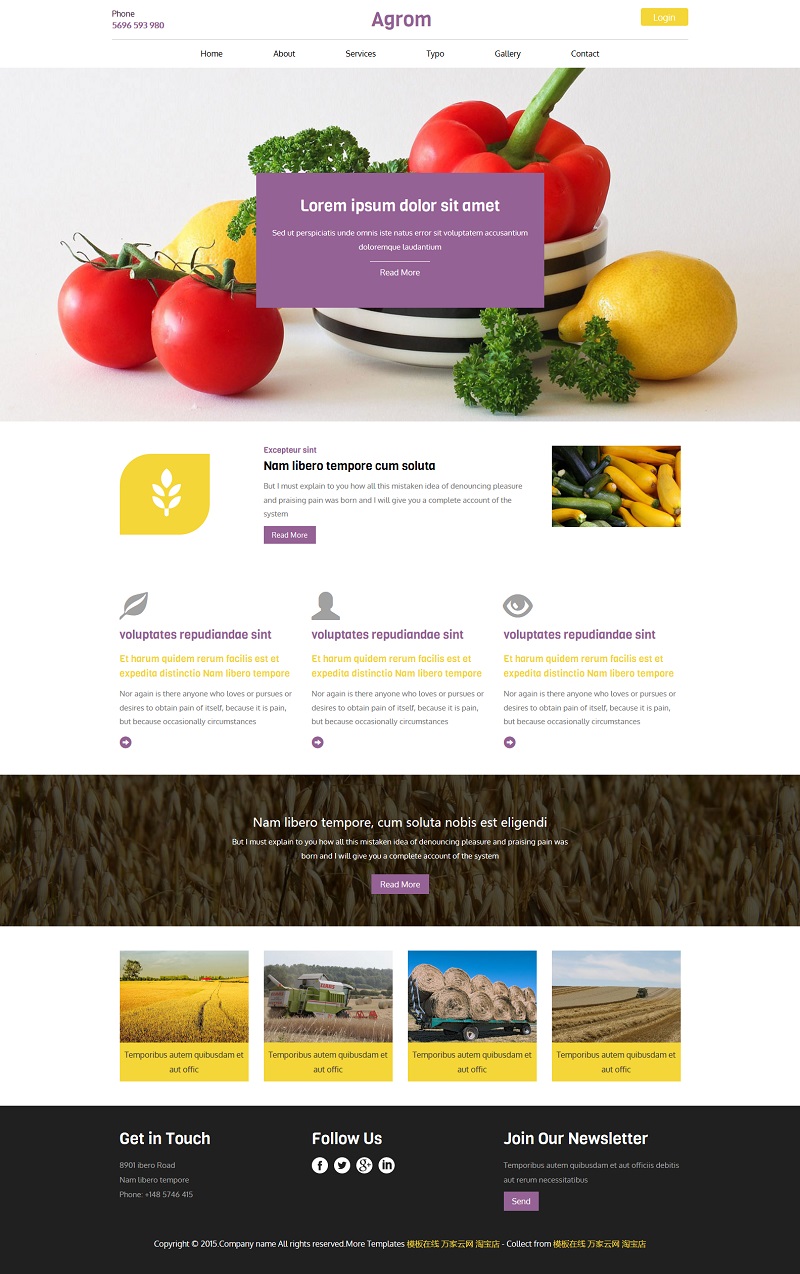 紫色漂亮蔬菜水果O2O网店网站模板
