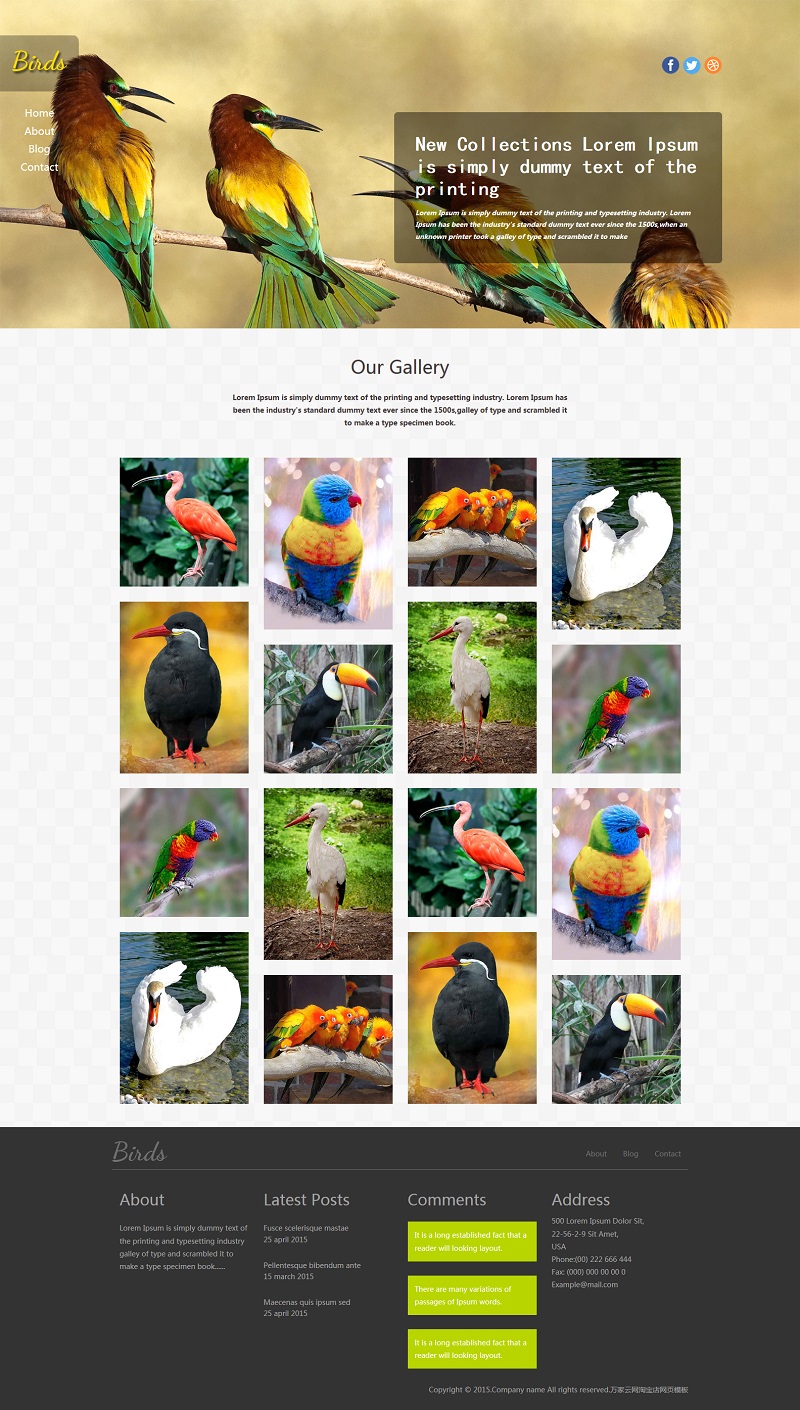响应式鸟类大全图片HTML5整站模板