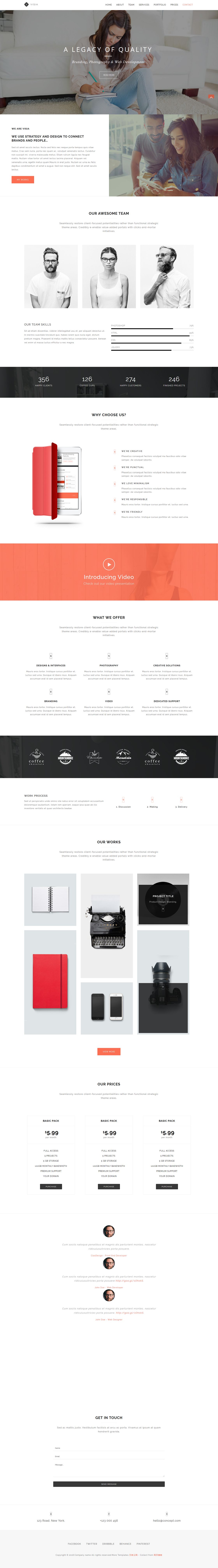 VISIA极致简洁黑白设计院网页模板