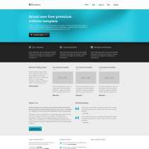 精美漂亮的软件企业网站模板(蓝色)