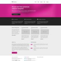 精美漂亮的软件企业网站模板(粉红色)