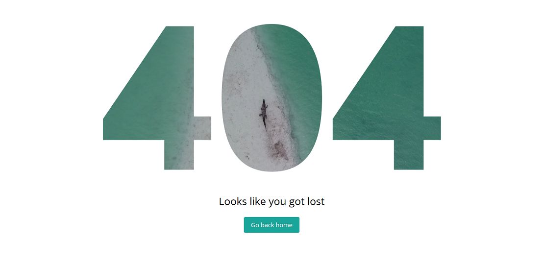 可爱有趣的404错误页面html模板