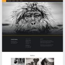 黑色宽屏Animal动物摄影网页模板