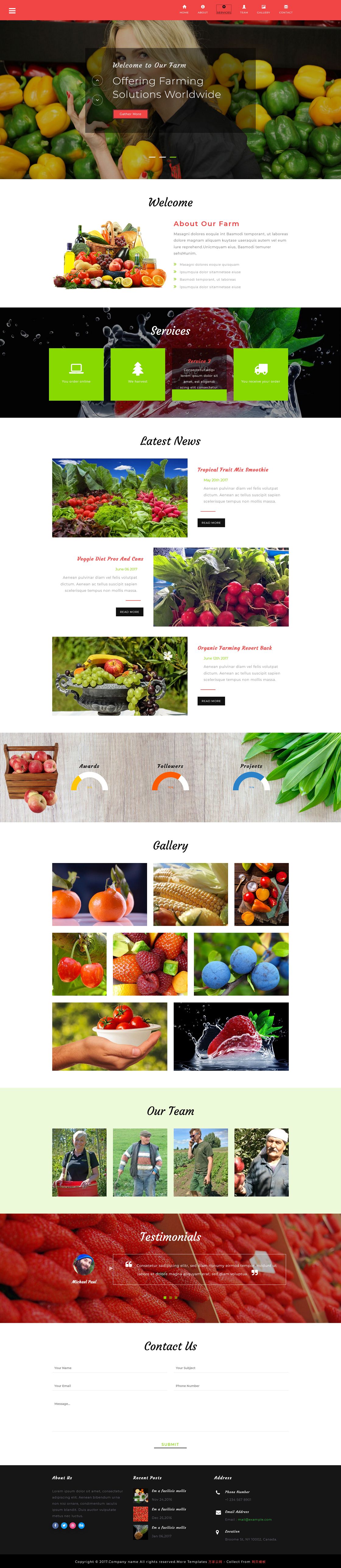 绿色蔬菜水果直销网网页模板