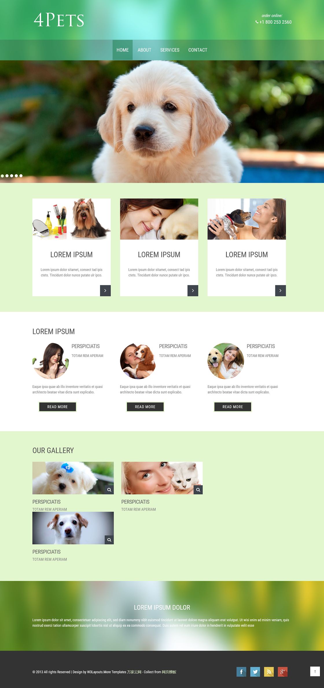 绿色宽屏宠物dog乐园网站模板